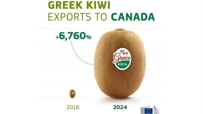 Το success story του ελληνικού ακτινιδίου: 6.760% αύξηση εξαγωγών στον Καναδά μέσα σε 8 χρόνια