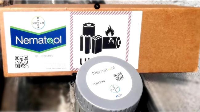 Nematool: Τέλος στους νηματώδεις η φράουλα - Περνά σε νέα εποχή