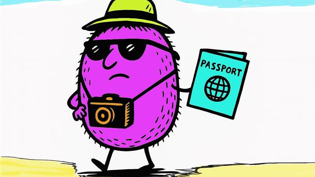 Πώς τα ακτινίδια βαφτίστηκαν δαμάσκηνα και πέρασαν τα σύνορα σαν αθώοι τουρίστες