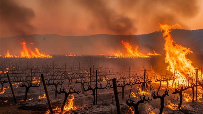 Δεν απαιτείται η καταβολή των τελών εκτίμησης από τους πληγέντες παραγωγούς