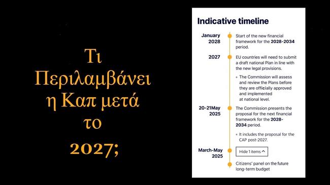 Η νέα εποχή της ΚΑΠ: Τι (δεν) λένε για τις επιδοτήσεις μετά το 2027