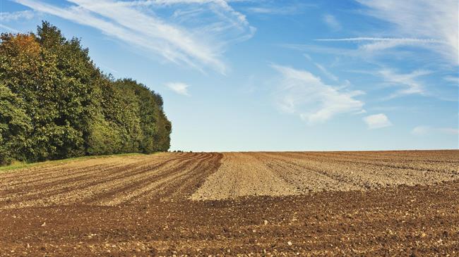 Οι Βρυξέλλες οδεύουν προς μια φθινοπωρινή διαμάχη σχετικά με τον περιορισμό των επιδοτήσεων στις μεγάλες γεωργικές εκμεταλλεύσεις
