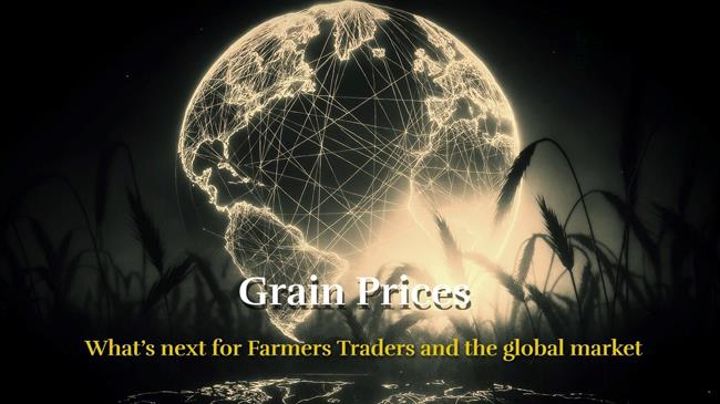 Τιμές σιταριού: Σε ιστορική δοκιμασία – Όλα τα βλέμματα στο χωράφι