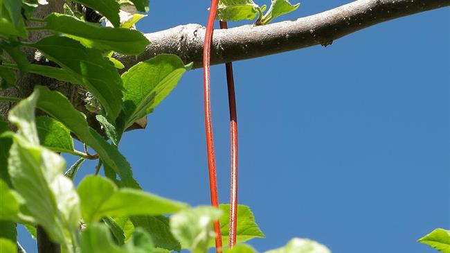Κομφούζιο: Αλλάζουν οι διαδικασίες τι προβλέπει η νέα εγκύκλιος