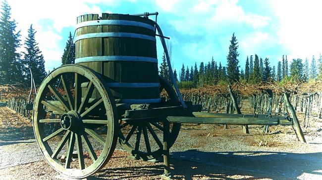 La Vita è Vino – Όταν η Ιταλία αρχίζει να αγοράζει το κρασί της