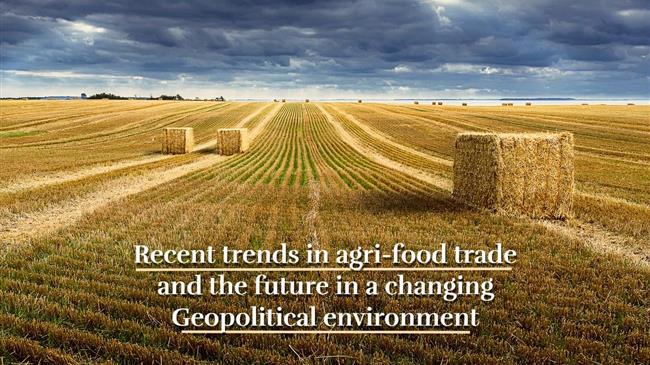 Fabio Santeramo: Όταν το εμπόριο τροφίμων γίνεται γεωπολιτική στρατηγική