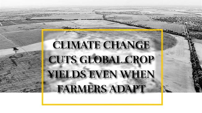 Stanford: Η παγκόσμια γεωργία οδηγείται σε κατάρρευση — Μονόδρομος η προσαρμογή με κόστος