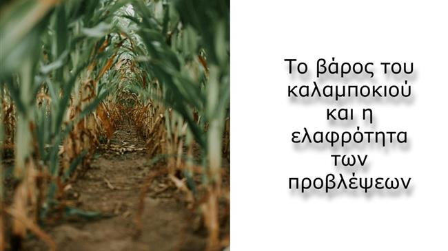 Σιτηρά: Η σιωπή των φορτίων