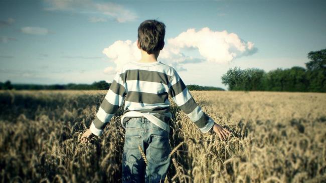 Όταν οι αγρότες αποχωρούν από τα χωράφια για να γίνουν κηπουροί