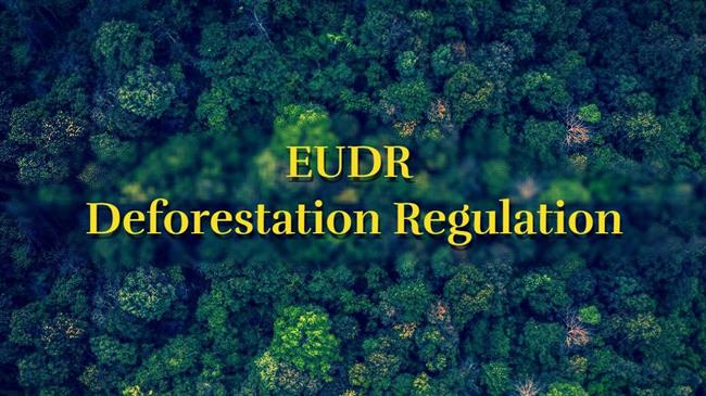 EUDR: Αντιπαράθεση για τον κανονισμό αποψίλωσης – Πιέσεις για καθυστερήσεις, αγωνία στην αγορά