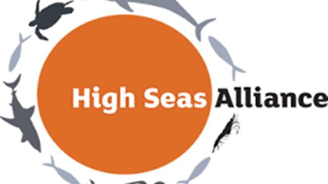 High Seas Alliance applauds Global Leaders’ swift action to bring High Seas Treaty to life