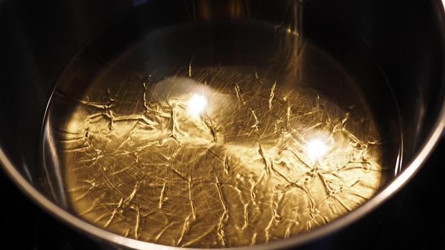 Οι παγκόσμιες εξαγωγές φυτικών ελαίων θα αυξηθούν φέτος