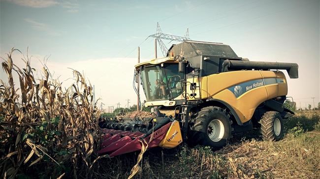 Το μυστήριο της σταθερής έκτασης καλαμποκιού