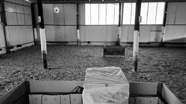 Παράταση έως το 2027 για τη νομιμοποίηση κτηνοτροφικών εγκαταστάσεων σε δασικές εκτάσεις