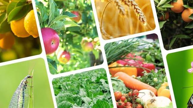 IBMA και Copa-Cogeca: Η Ευρώπη ποντάρει στη βιολογική καταπολέμηση με κοινό σχέδιο