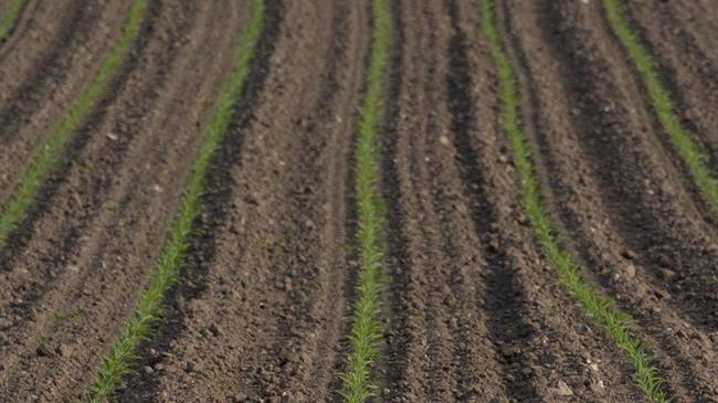 Η AGRI εγκρίνει συμφωνία για την απλοποίηση των γεωργικών κανόνων της ΕΕ