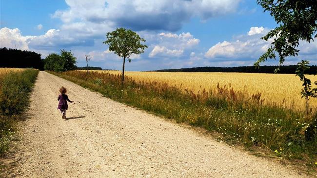 Υποχρεωτικά συμβόλαια για τους αγρότες – Νέοι κανόνες για δίκαιο εμπόριο και προστασία από φυτοφάρμακα