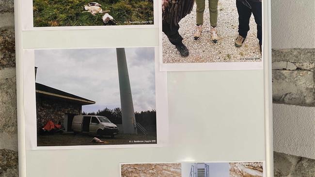 Πρέσπα: Περιβαλλοντικές οργανώσεις κρούουν τον κώδωνα για τις επιπτώσεις των ΑΣΠΗΕ σε όρνια, γύπες και πελεκάνους