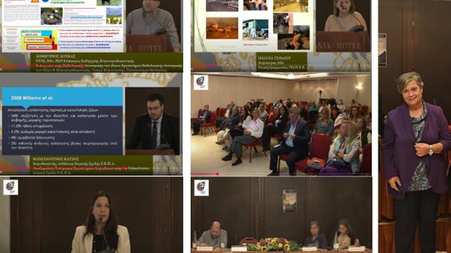 Ημερίδα κακοποίηση των ζώων - Μια τραγική πραγματικότητα