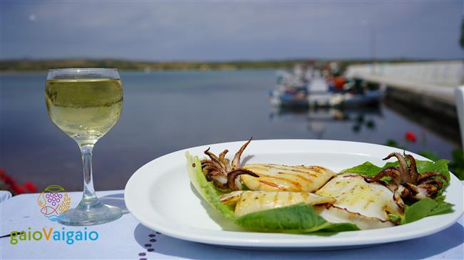 Ο Ψηφιακός Αγροδιατροφικός Χάρτης Βορείου Αιγαίου συνεχίζει δυναμικά