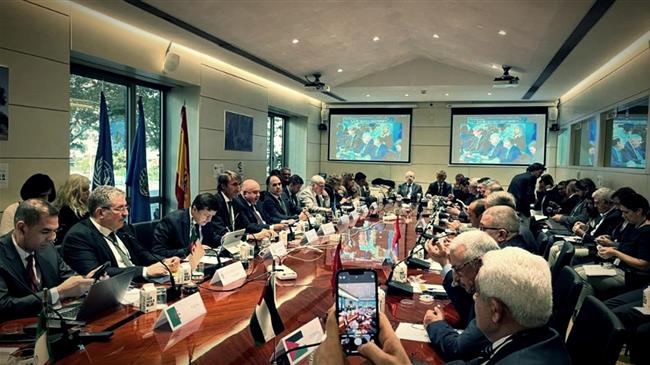 Ρεκόρ στην παραγωγή ελαιολάδου ρεαλισμός στις αγορές