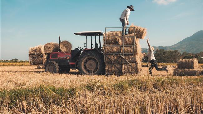 Παρατείνεται έως τις 31 Μαρτίου 2026 η διαδικασία μετάκλησης εργατών γης