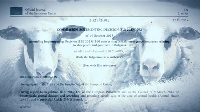 Έγγραφο από τις Βρυξέλλες: Η Ευρωπαϊκή Επιτροπή παρατείνει τα μέτρα για την ευλογιά αιγοπροβάτων