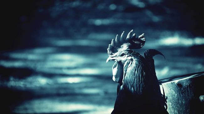 ΚΑΠ: Η Ευρώπη ξαναμοιράζει τα χωράφια της εξουσίας