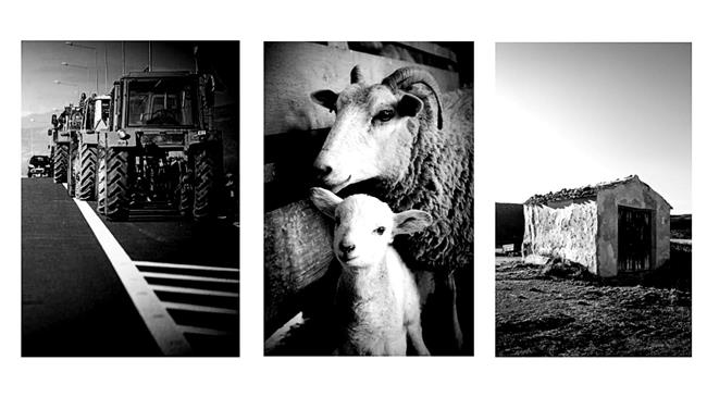 Τι βγάζει τους αγρότες στους δρόμους:  Ευλογιά, πληρωμές και το αίσθημα εγκατάλειψης