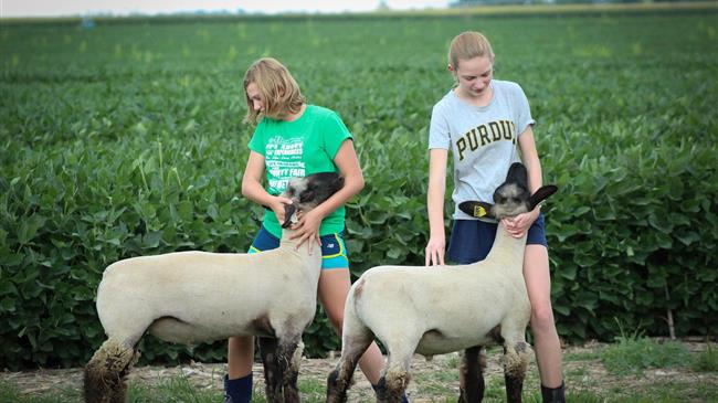 Κ. Καραμανλής: Να αναστραφεί η γήρανση και η μη βιώσιμη ανανέωση του αγροτικού πληθυσμού