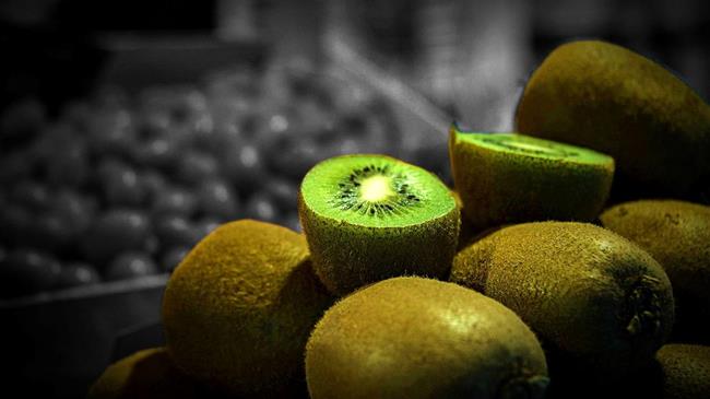 Οι τιμές του ελληνικού ακτινιδίου ανεβαίνουν καθώς ωριμάζει η παγκόσμια ζήτηση