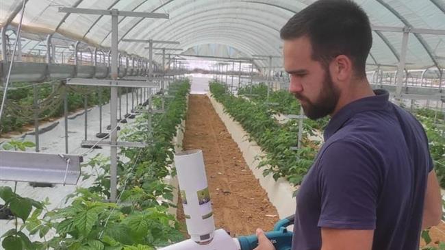 Η Τεχνολογική Επανάσταση στο Βιολογικό Έλεγχο του Τετρανύχου με τα BioPersi+ & Cali Combo