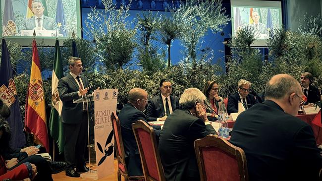 Η στροφή της Βραζιλίας προς το ελαιόλαδο και η νέα γεωγραφία του κλάδου