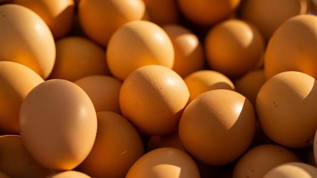 Εκτεταμένες ελλείψεις αυγών σε όλη την Ευρώπη