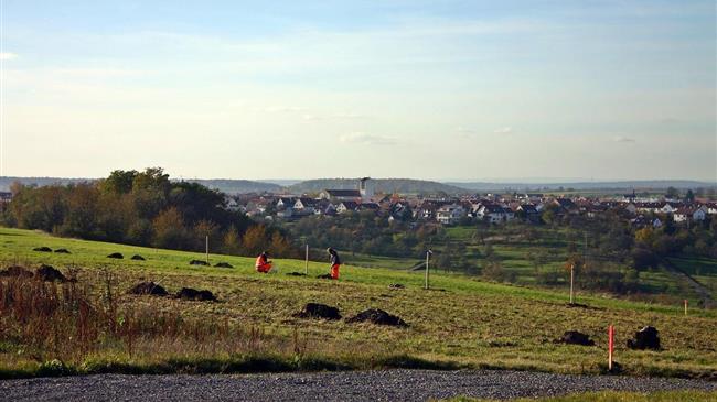 Άλλα 70 δέντρα φυτεύτηκαν στον Δ. Τρικκαίων
