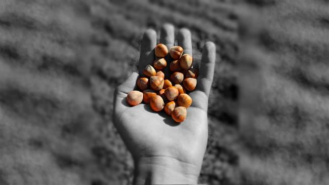 Η αυτοκρατορία του Φουντουκιού δοκιμάζεται