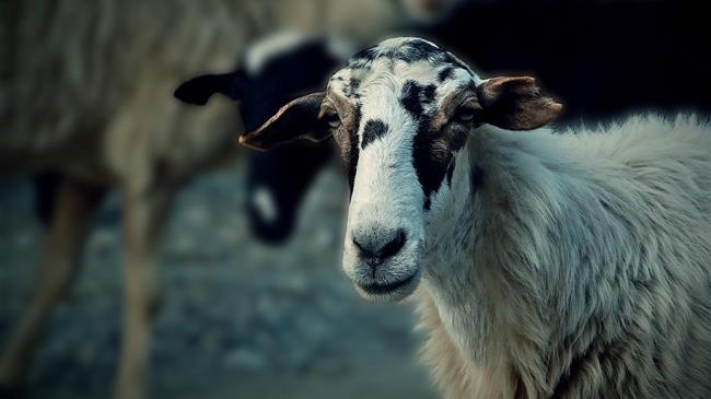 Η ψήφιση της αφορολόγητης ενίσχυσης και το αθέατο κόστος της επιβίωσης