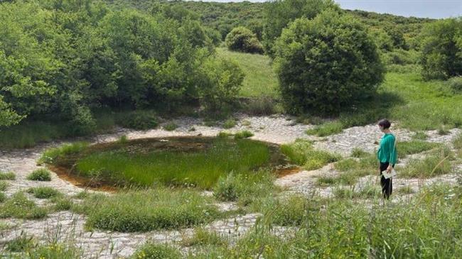 Πολύτιμες οι λούτσες που κρατούν νερό για τη μετακινούμενη κτηνοτροφία