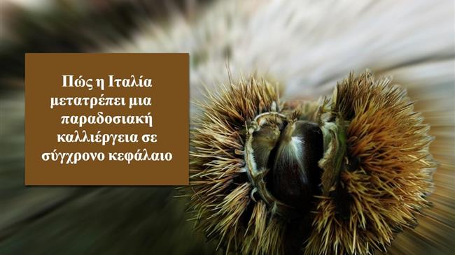 Η Ιταλία επενδύει ξανά στο κάστανο και κερδίζει θέση στην παγκόσμια αγορά