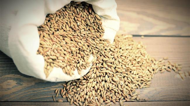 Νέες ποικιλίες, νέοι κανόνες: Η Ευρώπη ανανεώνει τον κοινό κατάλογο αγροτικών και κηπευτικών ειδών