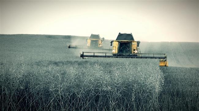Πώς το σιτάρι της μαύρης θάλασσας καθορίζει την επόμενη εποχή τιμών