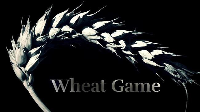 Σιτάρι: Απότομες αλλαγές στις τιμές της Μαύρης Θάλασσας δείχνουν δύσκολο χειμώνα