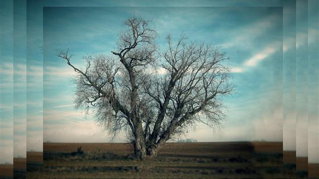 Η αθέατη κρίση της ελληνικής υπαίθρου