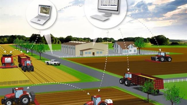 Ψηφιακή βόσκηση και παραγωγή κρέατος