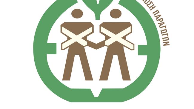 Από το χωράφι στο πιάτο: Πώς η Ένωση Αγρινίου & Άμφισσας αναβαθμίζει την ποιότητα της βρώσιμης ελιάς