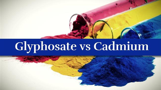 Ο φόβος για το glyphosate και η σιωπή γύρω από το κάδμιο