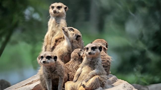 Το «φιάσκο» των πληρωμών τινάζει στον αέρα το μυστικό ραντεβού με τους αγρότες