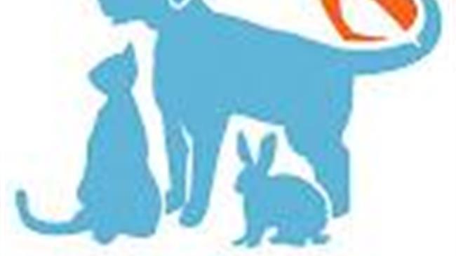 ΟΖΩΣΩΕΛ: Φιέστα 15.000€ με απευθείας ανάθεση για τα αδέσποτα