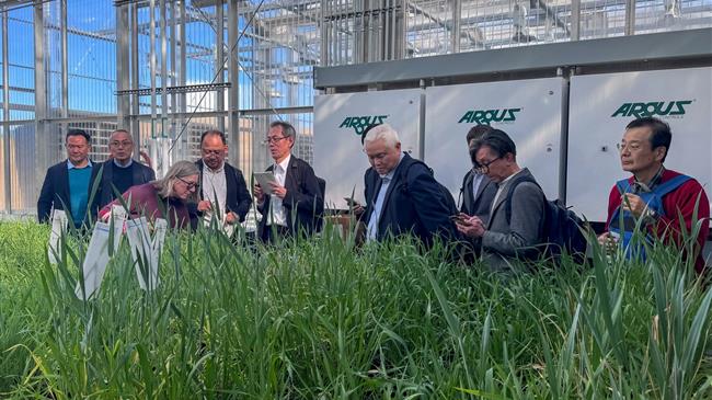 Όταν η ποιότητα του σιταριού αφορά εξίσου τον αγρότη και τον καταναλωτή