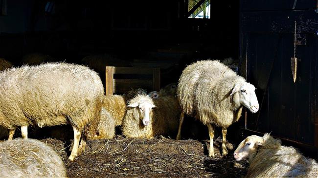 Όταν το ελληνικό γάλα περνά από το αφήγημα στο μικροσκόπιο των δεδομένων